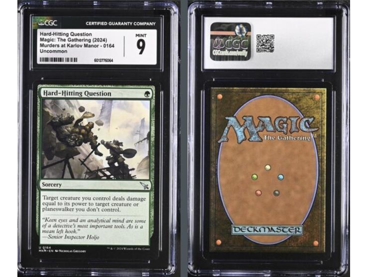 This curated set of four cards is a magnificent visual feast, celebrating the natural power and strategic depth of the 2024 s